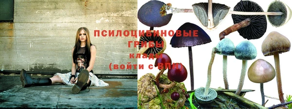 мяу мяу мука Ступино