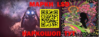 шишки Заводоуковск