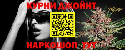 шишки Заводоуковск