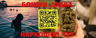 шишки Заводоуковск