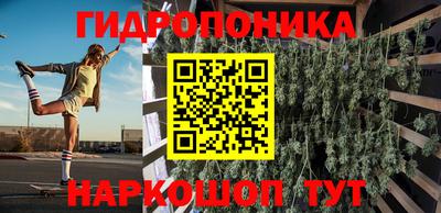 шишки Заводоуковск