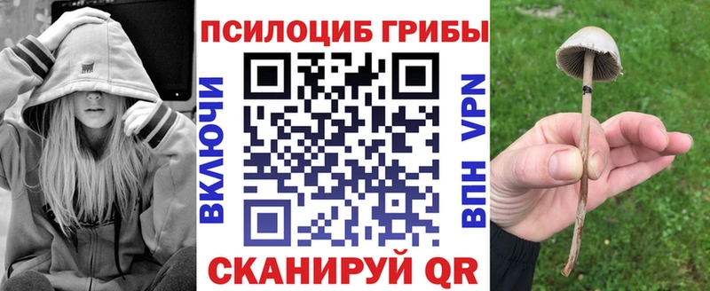 Псилоцибиновые грибы Psilocybine cubensis  Невинномысск 