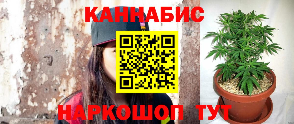 Шишки марихуана марихуана Невинномысск